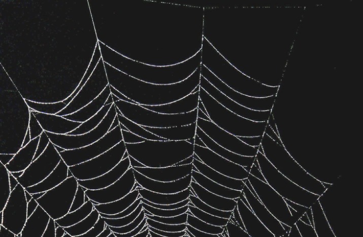 drug markets dark web
