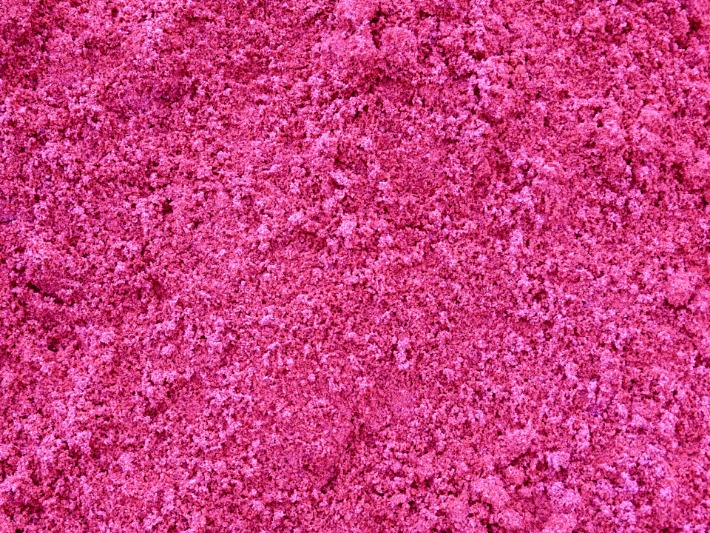 pink versace pill