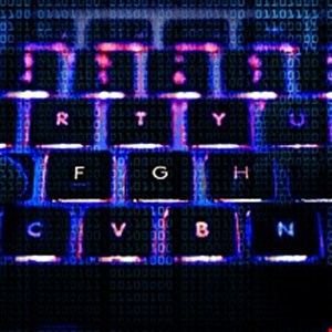 dark net market links 2026