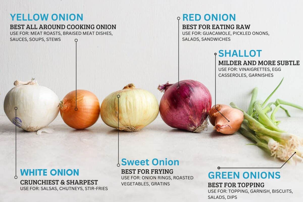 .onion links